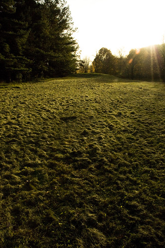 autumn trees shadow sun fall field grass yard ed cut pennsylvania g lawn butler burst nikkor clippings bumps neighbor 1870mm afs dx clumps f3545