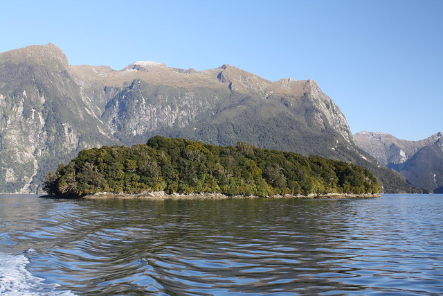 Seymour Island, Doubtful Sound