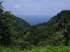 Vista sobre bahía Iglesias
