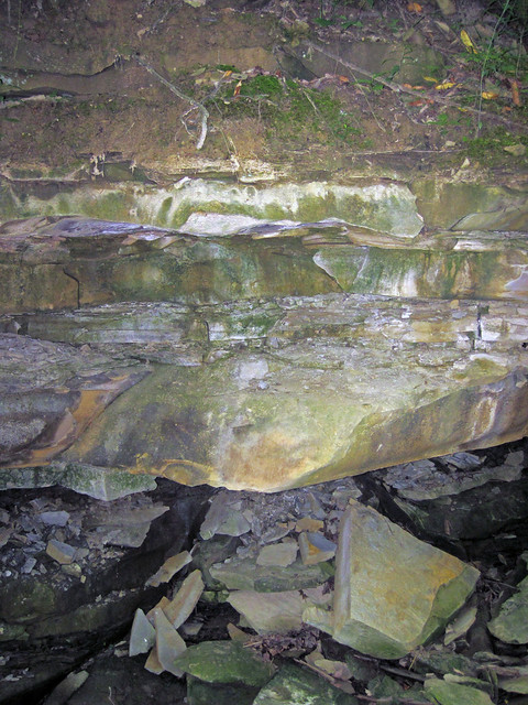 Sandstones (Lithopolis Member, Cuyahoga Formation, Lower Mississippian; Pine Quarry Park, Reynoldsburg, Ohio, USA) 3