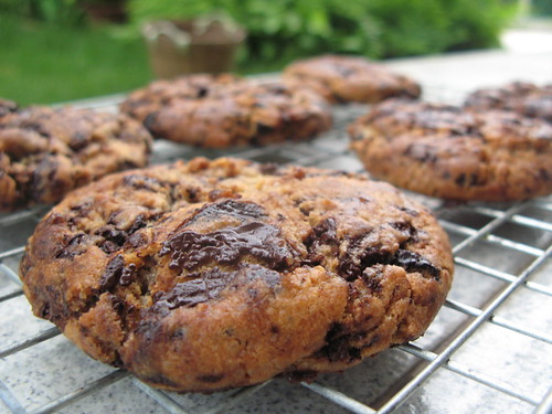 nytimes' choc chip cookie | by newiiy