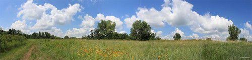 flowers nature pond sand solitude trail cottonwood kansas prairie hutchinson