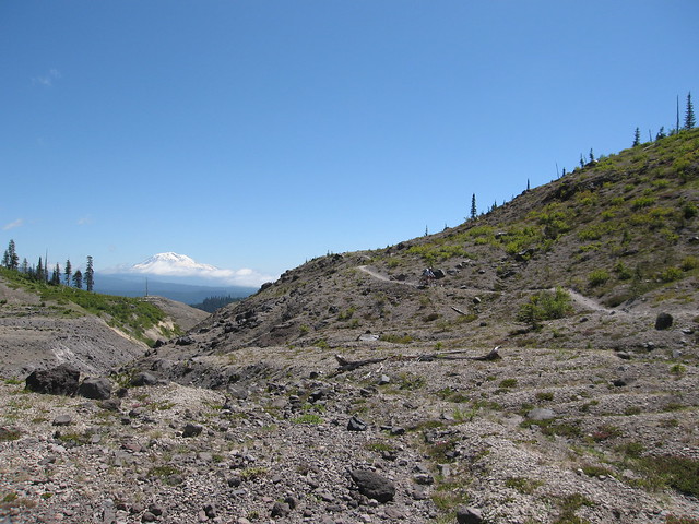 100718_018-Mt. Adams and trail