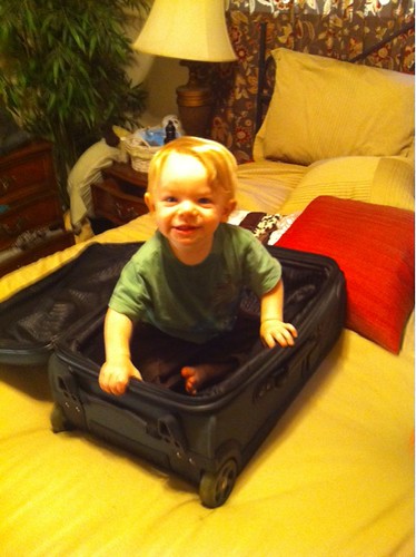 Look who wants to go to Australia and New Zealand too. | by AaronSellars