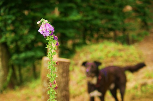 Untitled | by individual senses