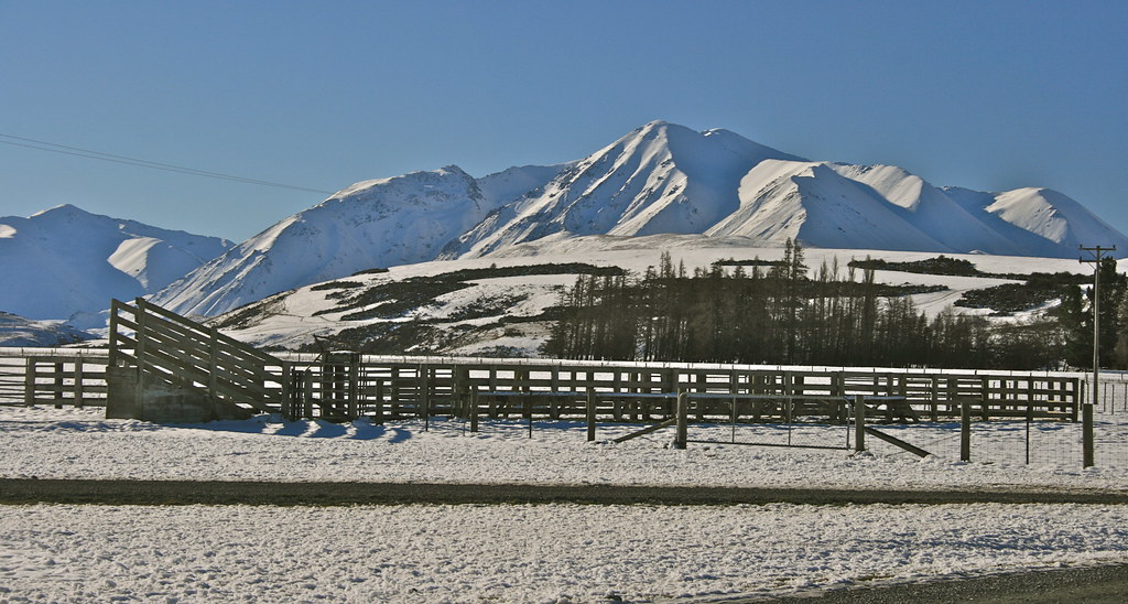 Castle Ridge Station, Ashburton Lakes District, NZ | Flickr