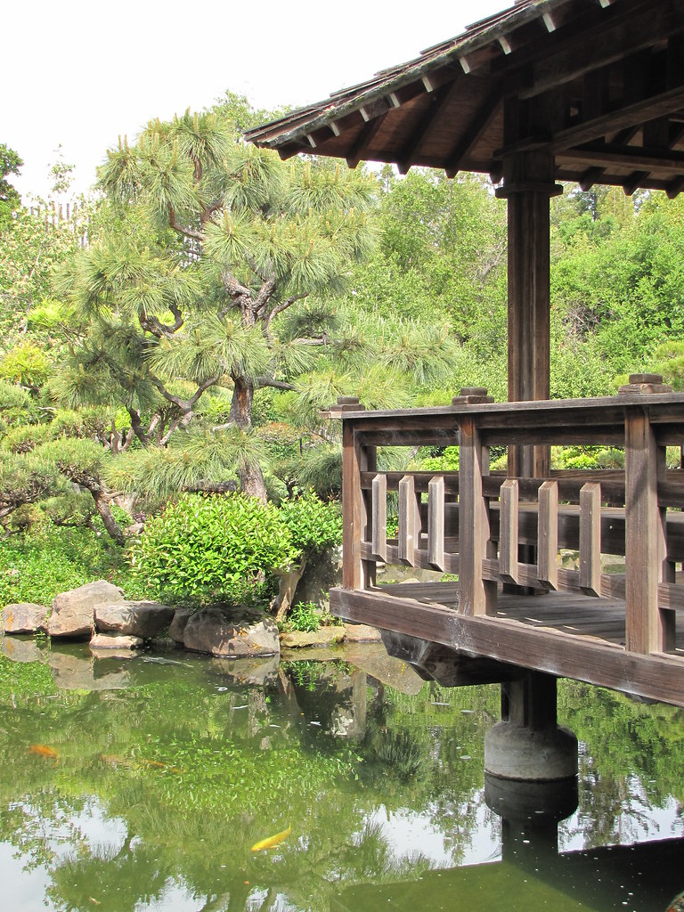 Japanese Tea Garden Hayward Shaireproductions Com Flickr