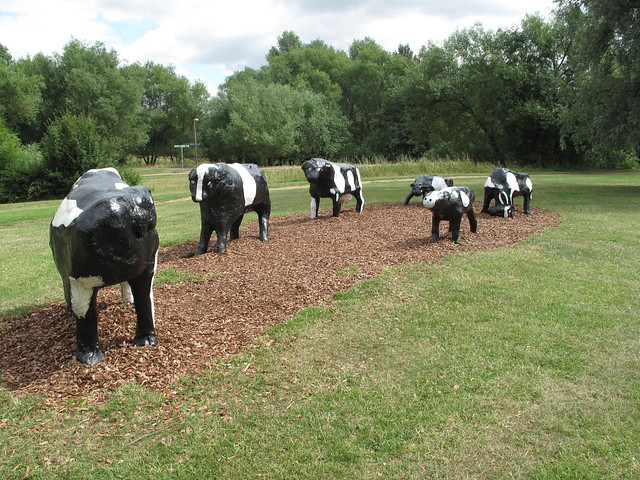 Milton Keynes Concrete Cows