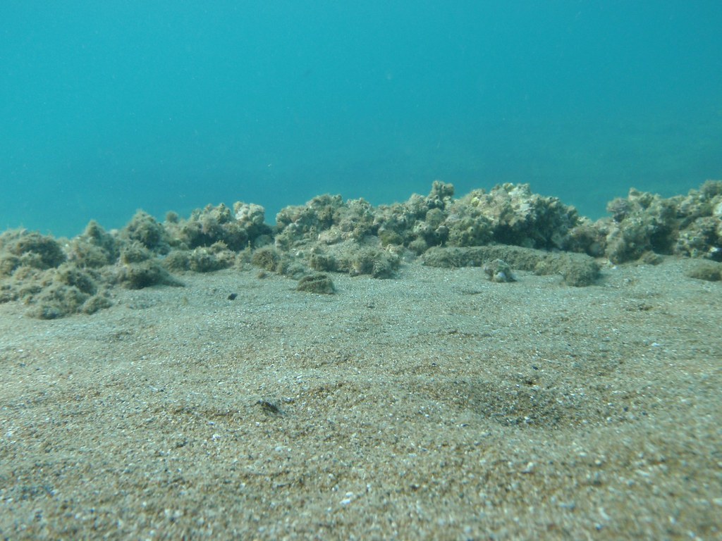 Sea Floor Sand And Rock Dimitris Siskopoulos Flickr