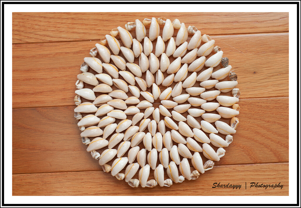281/365 - 07/07/10 [365 Days @ 50mm] - Sea Shell Mat | Flickr