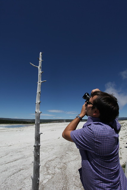 Felix, founder of Plazes, shoots Yellowstone burned tree
