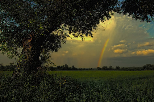 Somewhere by photon tamer, ... over the rainbow...
Really recommended: <a href="http://bighugelabs.com/onblack.php?id=480422650