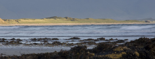 ireland sea beach water strand bay sand dune kerry ballyheigue