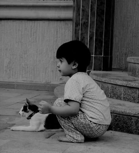 girls cats pets cute home kids cat children kid kitten soso riyadh saudiarabia ksa girlsworld okcat saroon