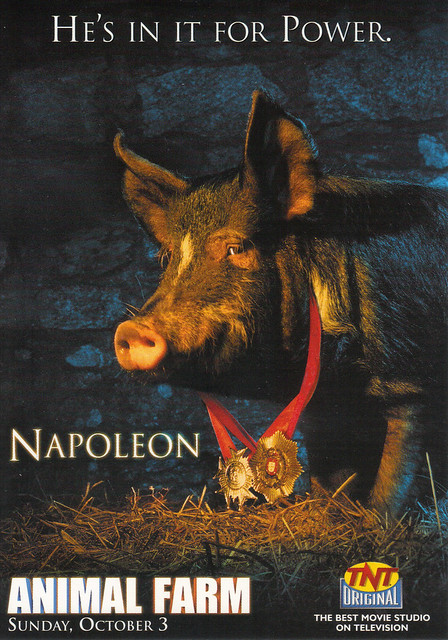 TNT Movie Animal Farm Ad Postcard