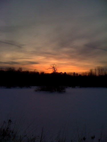 trees winter sunset snow ice island frozen twilight pond gloaming