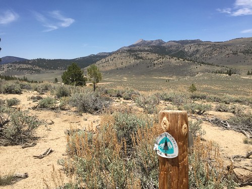PCT: Day 55
