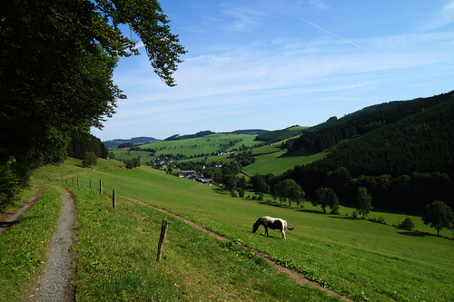 Golddorf-Route Oberhenneborn | by dieter.steffmann