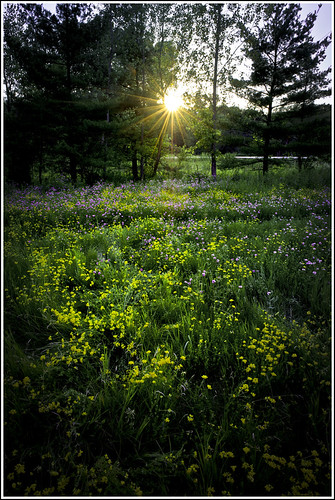 yellows by heinz57sauce, ...
Nikon D3s | Nikkor 24-70mm | Single RAW exposure
ISO 200 | f/16 | 1/6 sec | 24mm
Singh-Ray LB C