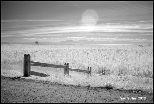 We will miss the drifting clouds - IR West Dyke Trail 6588e by Harris Hui (in search of light)