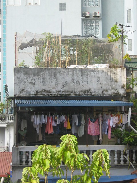 Rooftop vegetable garden, Ha Hoi Street, Hanoi, July 2010