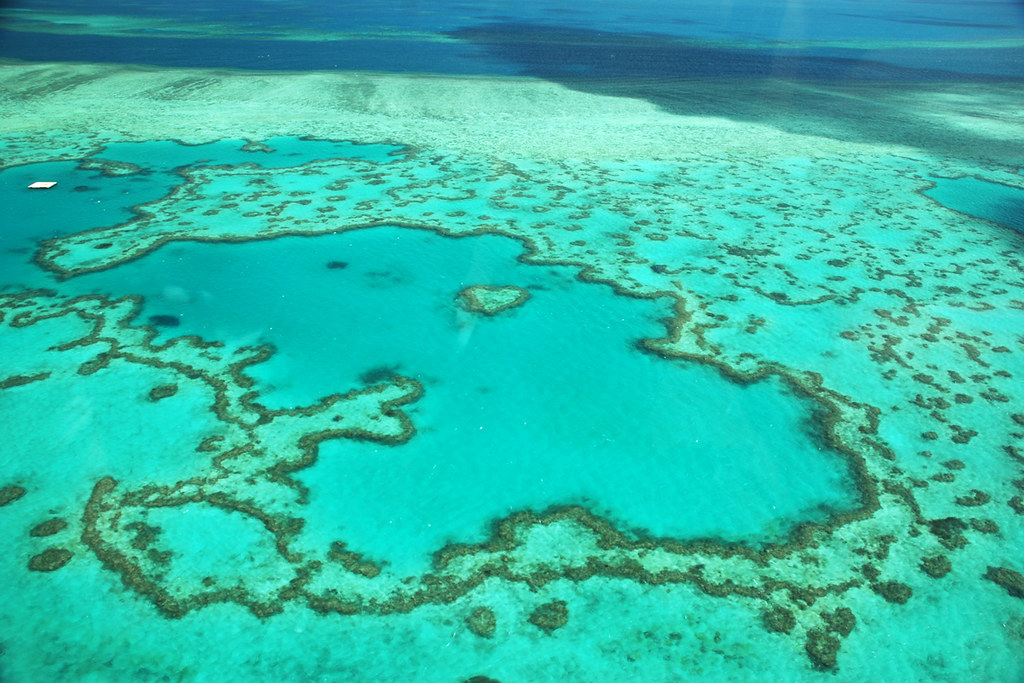 Helicopter ride over heart shaped coral | lhaberlach | Flickr