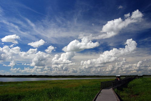 clouds landscape florida sarasota myakkariverstatepark michaelskelton michaeldskelton michaeldskeltonphotography