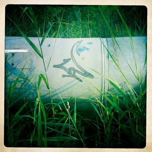 Tag | by lux flux