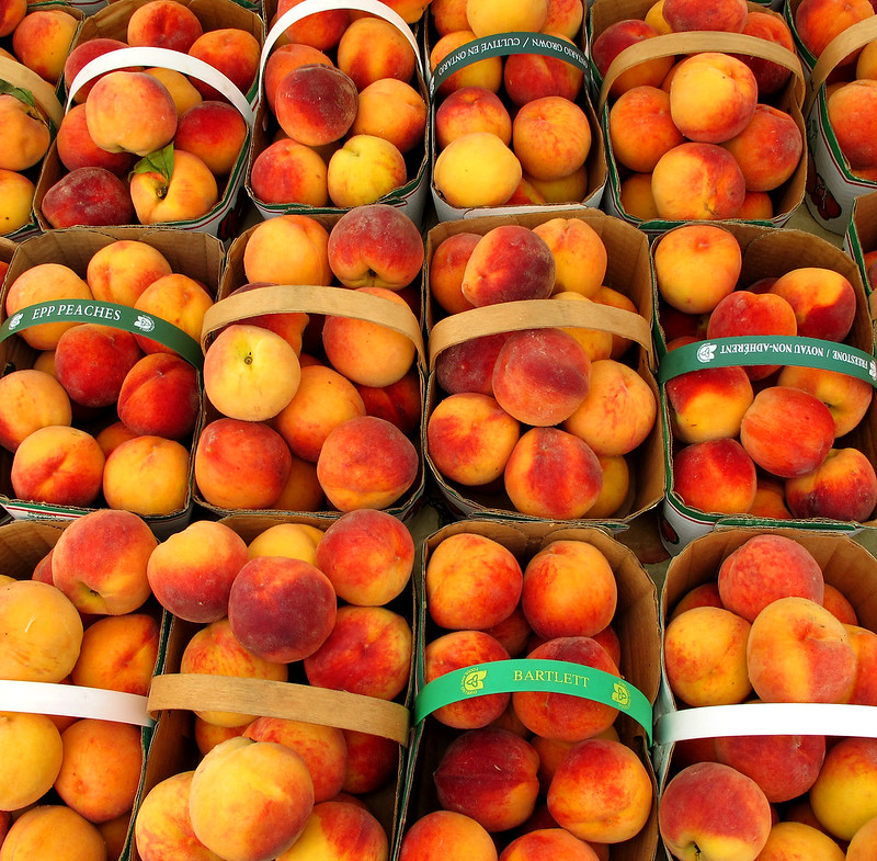 movin' to the country, gonna eat a lot o' peaches