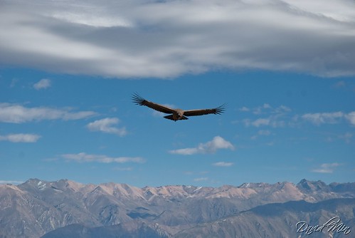 Cruz del Condor Lookout, Peru by GlobeTrotter 2000