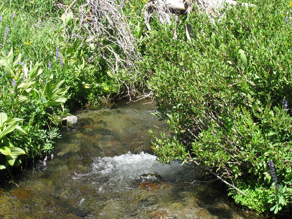 Summit Lake South CG