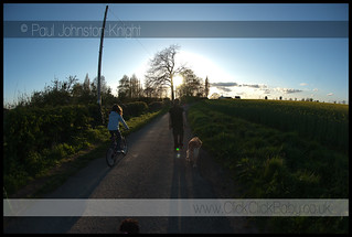 kids & dogs go for a walk at sunset in Apr '10 followed by angels