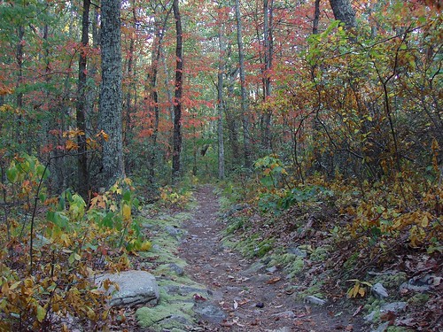 park autumn virginia moss hiking trails national shenandoah netbros internetbrothers turkmountaintrail
