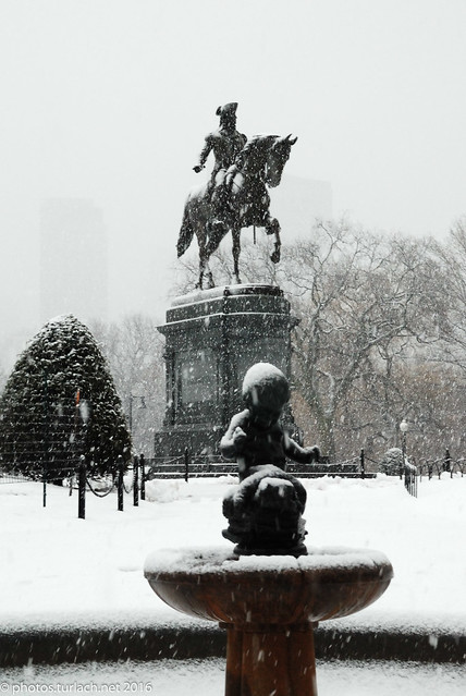 Boston Public Garden in Snow -  4