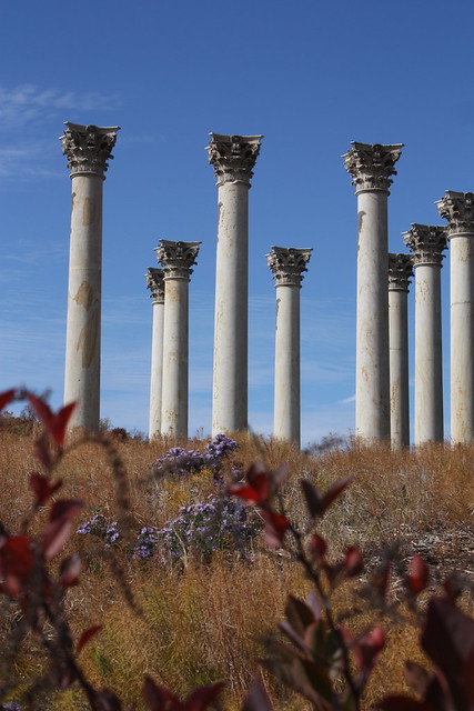 Columns at the Arboretum (From the original U.S. Capitol Building)