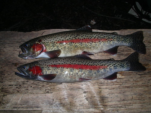 High lake
