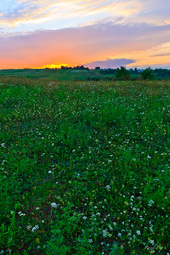 Hilltop sunset by Raoul Pop, Sunset on a hilltop, somewhere in southern Moldova, Romania. (File: RPOP-2007-09-1105)autumn sunset 