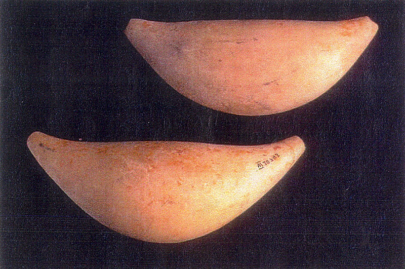 The Tridacna senahi is carved from the dense, thick hinge portion of the giant hima clam.  Each end has a slanted hole drilled through the tip from which a cord was probably tied to hang around the neck or to link several pieces together as a show of wealth.  These pieces were found in Saipan by the German Governor George Fritz in 1904.  Official photo by Graf courtesy of the Berlin Museum fur Volkerkunde in Germany. Copyright bpk, 1998.

Berlin Museum fur Volkerkunde in Germany/Judy Flores