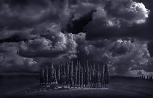 Val d'Orcia by Harald Mieling