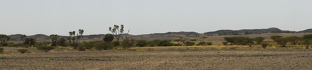 Desert  (Sudan)