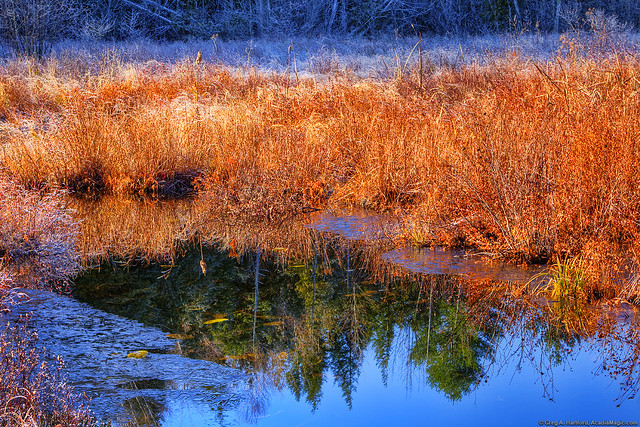 Autumn Landscape - Frost