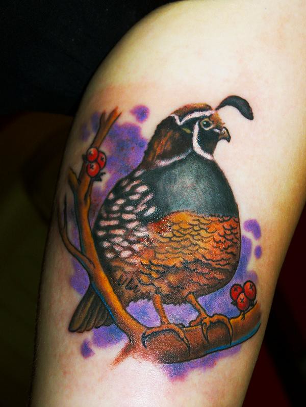 quail tattoo