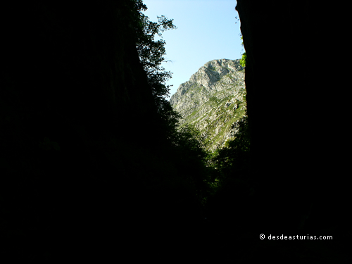 Cueva del Tinganón, Ribadesella | by Asturias.com