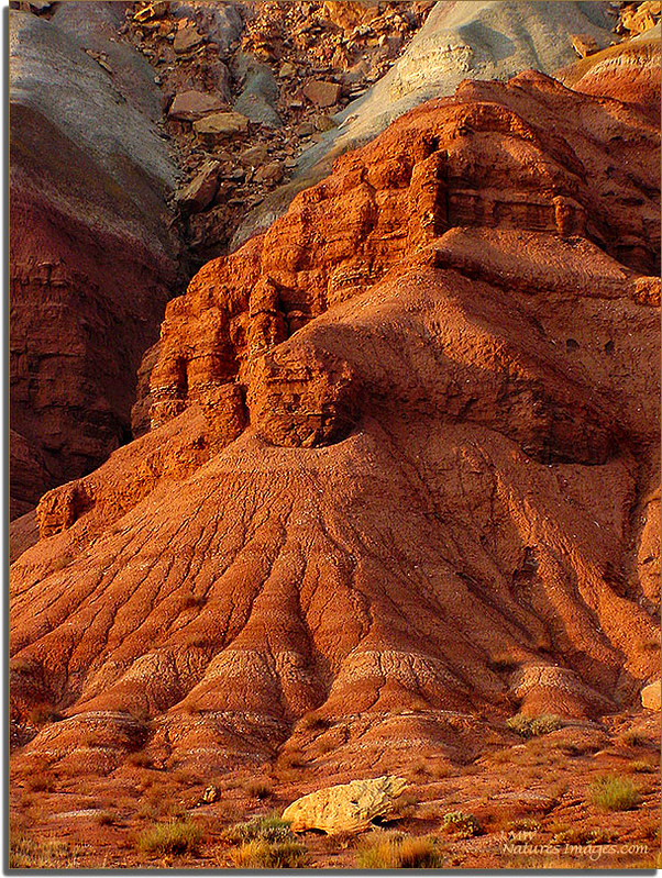 Scenic Drive No 3, Capitol Reef NP, UT. by JMW Natures Images