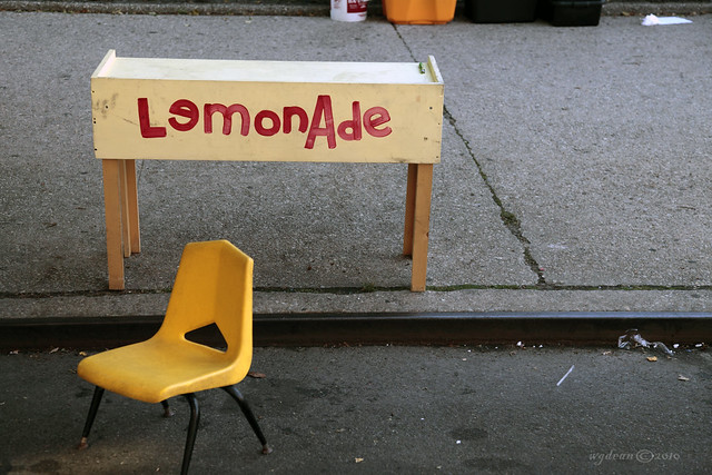 lemonade stand    3215