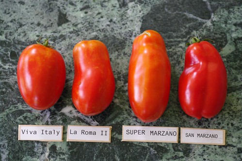 Viva Italy, La Roma II, Super Marzano, San Marzano (tomato varieties)