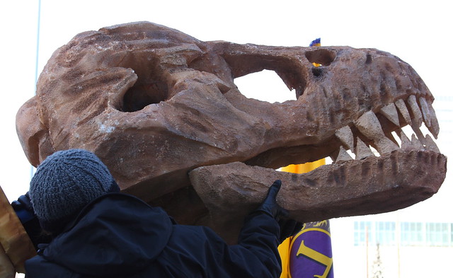 Putting the head on a T-Rex
