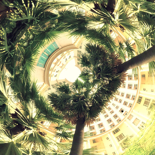 trees panorama gardens digital square photo stereoscopic view manipulation panoramic palm 180 stereo projection bombay mumbai radial degrees powai projections hiranandani stereographic hiranandanihospital