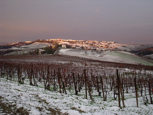 la prima nevicata - the first snowfall (november 2010)
