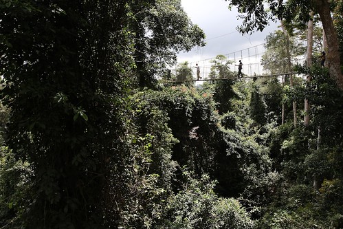 africa landscape rainforest places ghana imagetype photospecs